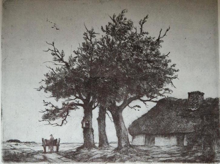 Dirk Baksteen | De 3 Linden te Achterbosch | Ets reproductie, Antiek en Kunst, Kunst | Etsen en Gravures, Ophalen