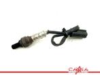 SONDE LAMBDA Ducati Monster 696 2008-2013 (M696), Utilisé