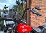 Softail stuur Ape, Motoren