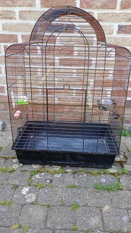 Vogelkooi voor (valk) parkieten en kanarie, Dieren en Toebehoren, Vogels | Hokken en Kooien, Gebruikt, Vogelkooi, Metaal, Ophalen