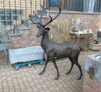 bronzen hert staand, 1 m 88, uitverkocht!, Ophalen of Verzenden, Nieuw, Overige materialen, Dierenbeeld