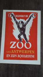 Originele Zoo poster, Comme neuf, Enlèvement ou Envoi