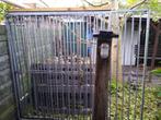 honden ren, Ophalen, Hondenkennel, 100 cm of meer, 110 cm of meer