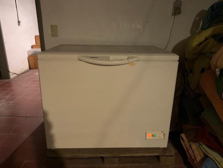 Grote diepvrieskist, Elektronische apparatuur, Vriezers en Diepvrieskisten, Gebruikt, Vrijstaand, Vrieskist, 85 tot 120 cm, 90 cm of meer