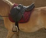 Cwd zadel, Dieren en Toebehoren, Paarden en Pony's | Zadels, Ophalen