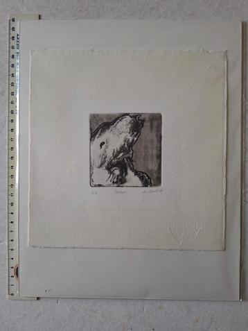 Kleine ets De Ravet "Demon" uit 2004 beschikbaar voor biedingen