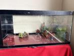 Aquarium, Dieren en Toebehoren, Ophalen, Gebruikt