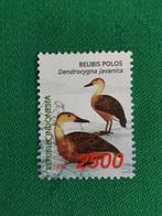 Indonésie 1998 - oiseaux - canards, Animal et Nature, Affranchi, Enlèvement ou Envoi