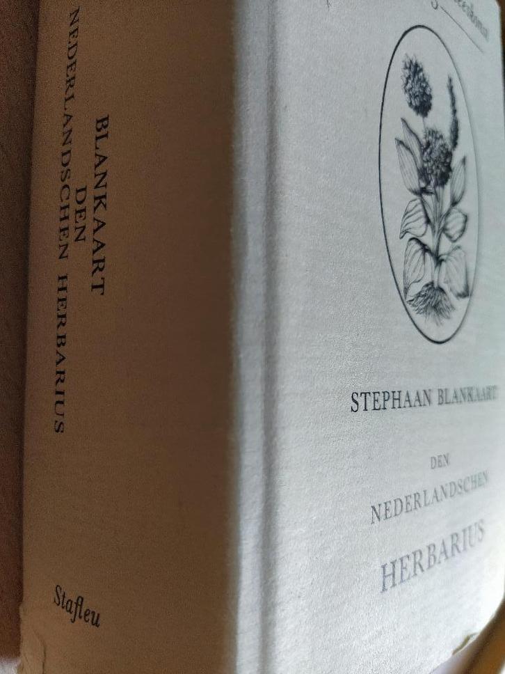 boek: Den Nederlandschen Herbarius/Stephaan Blankaart, Antiek en Kunst, Antiek | Boeken en Manuscripten, Ophalen of Verzenden