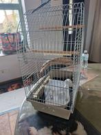 Vogelkooi, Dieren en Toebehoren, Ophalen, Vogelkooi