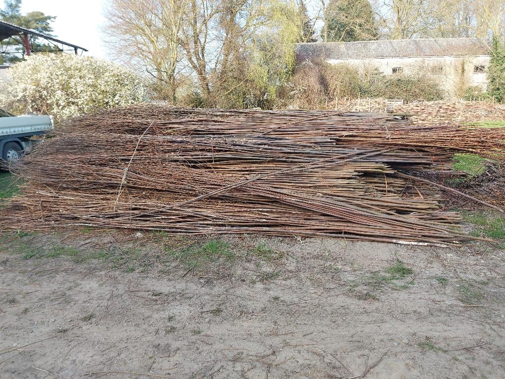 Wilgentenen van 1 jaar oud, Jardin & Terrasse, Clôtures de jardin, Enlèvement, Comme neuf, Bois, Autres types