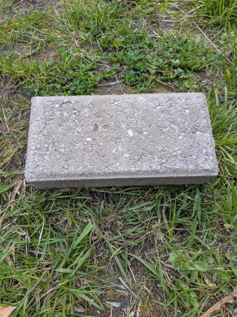 Klinkers, Jardin & Terrasse, Pavé & Dalles, Enlèvement, Comme neuf, Béton, Briques