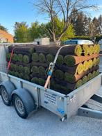 création de jardin pelouse en rouleau, Enlèvement, Neuf, 20 m² ou plus, Herbe