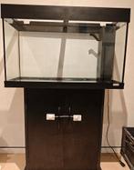 Aquarium, Animaux & Accessoires, Enlèvement, Utilisé, Aquarium vide