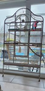 Cage pour perroquets, Enlèvement