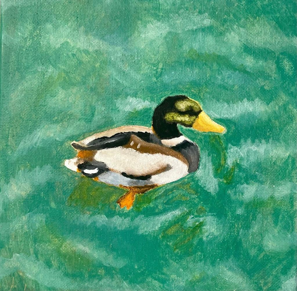 Schilderij Eend zwemmend in vijver, Ophalen of Verzenden