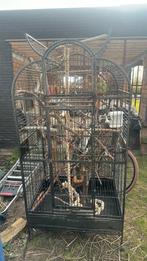 Papegaaikooi op wielen xxl, Dieren en Toebehoren, Ophalen, Zo goed als nieuw