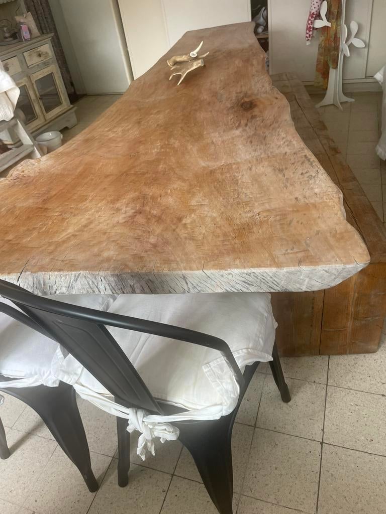 Boomstamtafel  2/70, Ophalen