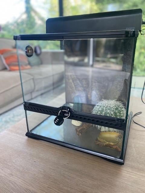 Terrarium Exo Terra – 45x45x47 cm – In goede staat, Dieren en Toebehoren, Ophalen, Zo goed als nieuw, Terrarium of Paludarium