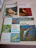 Boeken allerlei, Enlèvement