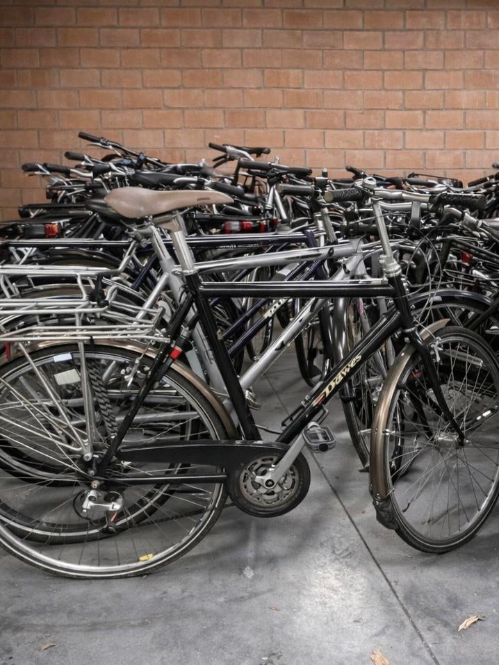 Plusieurs vélos– Dames, Hommes, étudiants, gare, Enlèvement, Utilisé, Vitesses