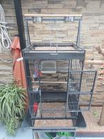 Papagaai kooi niuwe, Dieren en Toebehoren, Ophalen