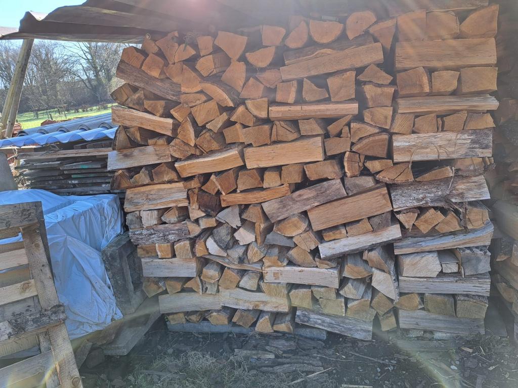 Eik brandhout droog, Tuin en Terras, Ophalen, Eikenhout, Blokken