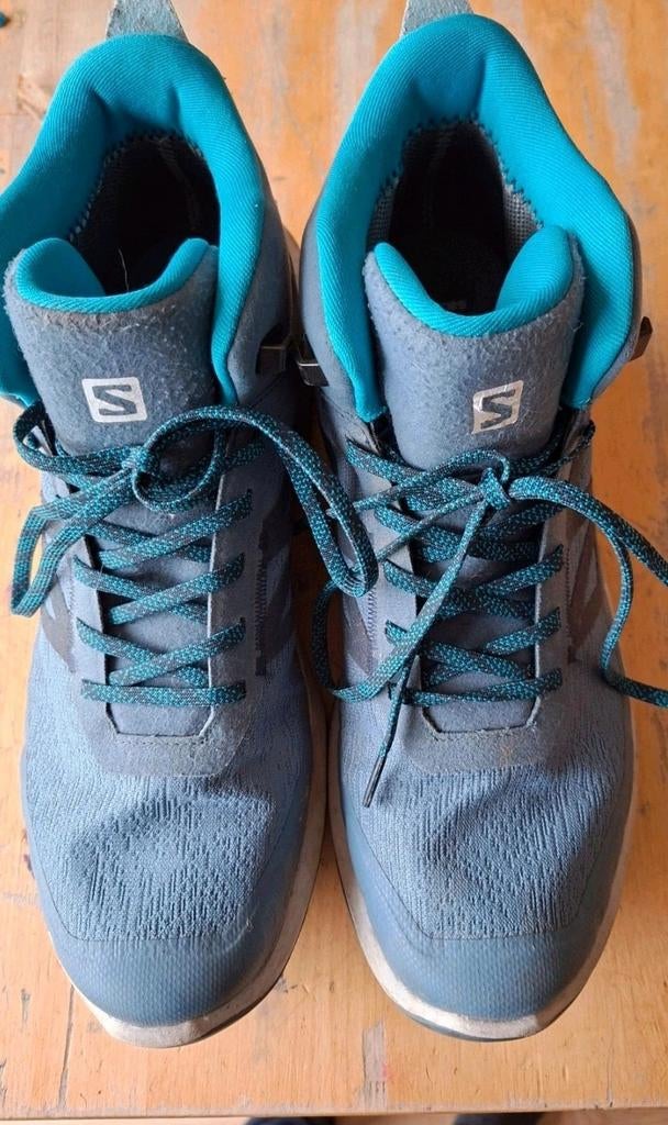 Herenschoen Salomon, Vêtements | Hommes, Chaussures, Enlèvement