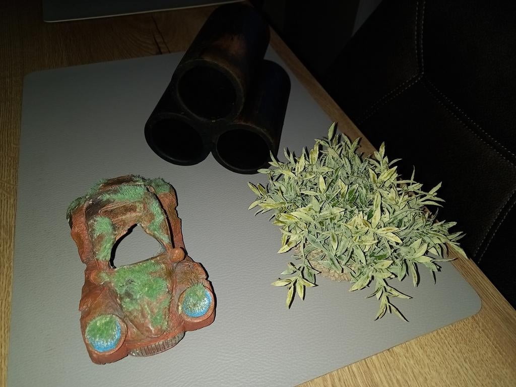 Accessoires  aquarium, Ophalen