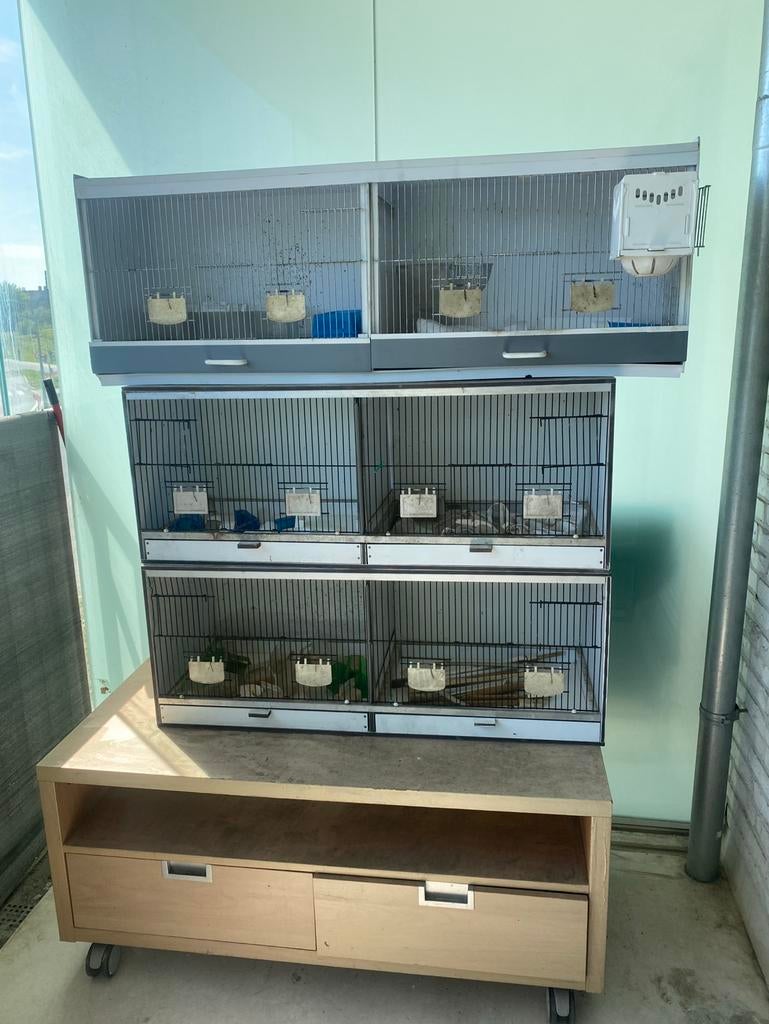 Kweekkoien te koop, Dieren en Toebehoren, Ophalen, Gebruikt, Aluminium, Broedkooi of Kweekkooi