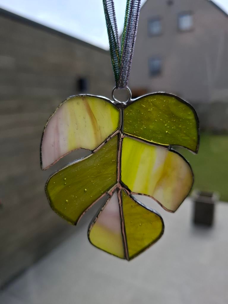 Feuille de Monstera, Antiquités & Art, Enlèvement ou Envoi