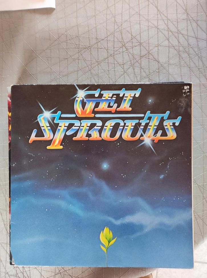 Lot de vinyles, CD & DVD, Vinyles | Rock, Enlèvement ou Envoi