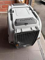 Grote hondenbench, Enlèvement, Utilisé