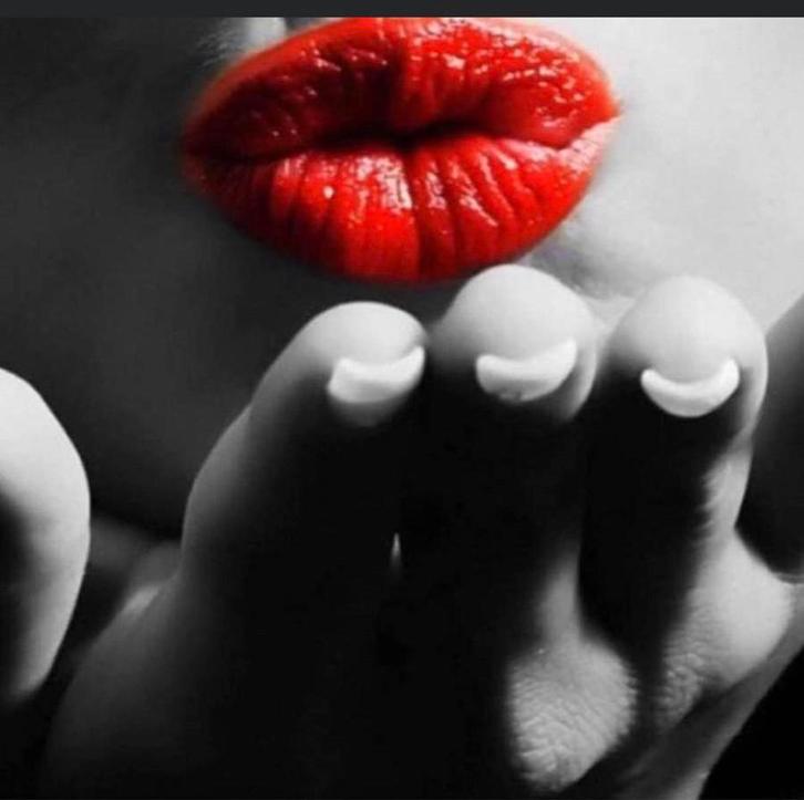 Massage tantrique  avec Lily -bxl  studio privatif 💜, Sport en Fitness, Massageproducten, Nieuw, Overige typen