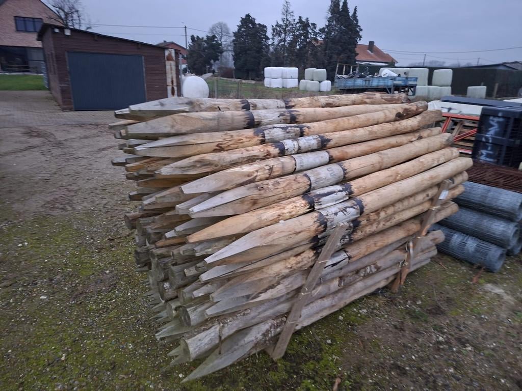 Robinia ronde palen -dia.10-12  250 lang, Enlèvement, Poteaux