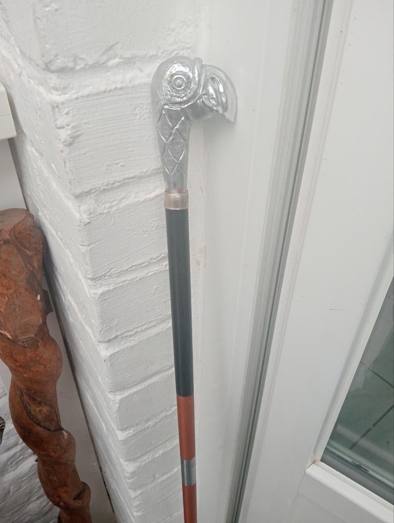 Canne / bâton de marche 110 cm, Diversen, Wandelstokken, Ophalen of Verzenden