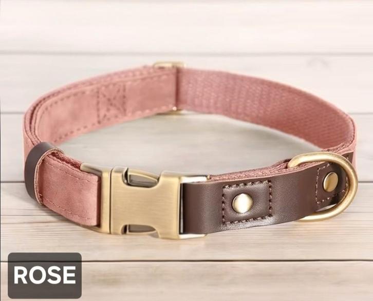 Collier pour chien, Animaux & Accessoires, Colliers & Médailles pour chiens, Envoi