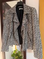 Veste perfecto MANGO, Mango, Enlèvement, Comme neuf, Taille 38/40 (M)