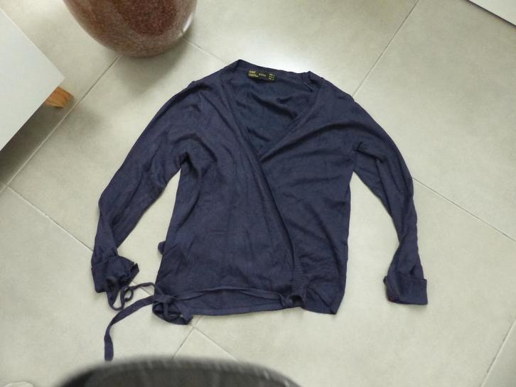 Pull bleu Zara - taille L, Vêtements | Femmes, Pulls & Gilets, Comme neuf, Taille 42/44 (L), Bleu, Enlèvement ou Envoi