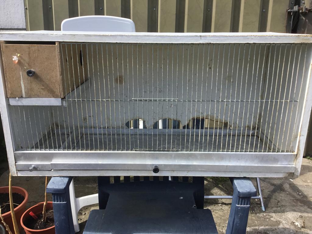 GRATIS 2 KOOIEN, Enlèvement, Comme neuf