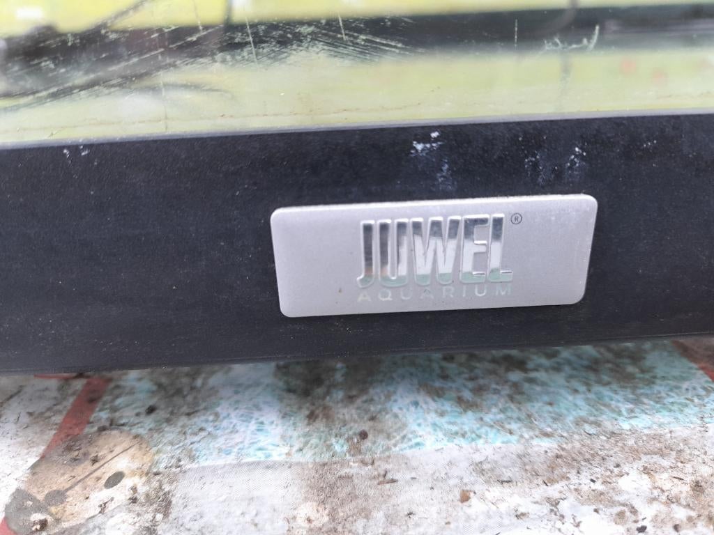 Aquarium juwel, Animaux & Accessoires, Poissons | Aquariums & Accessoires, Utilisé, Aquarium vide, Couvercle inclus, Juwel, Enlèvement