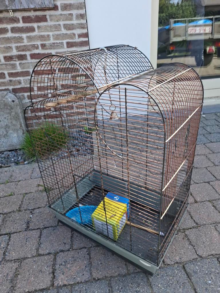 Vogelkooi met accessoires en broedlamp, Animaux & Accessoires, Oiseaux | Cages & Volières, Enlèvement