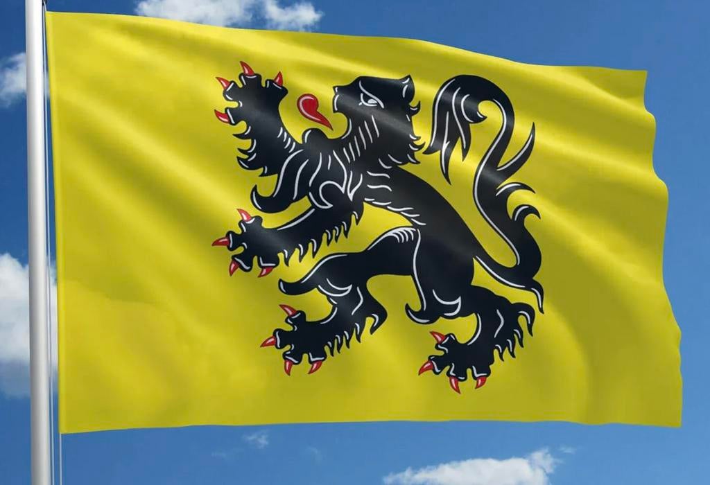 Vlag Vlaamse Leeuw - Vlaamse vlag 120 op 180 cm - nieuw, Ophalen of Verzenden, Nieuw