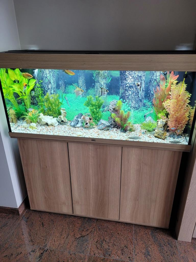 Aquarium 240 liter, Ophalen, Inclusief vissen