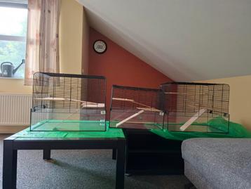 3 ruime hamster kooien te koop. 