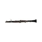 Jean Martin Paris klarinet en Henri Selmer C85 120 mondstuk, Muziek en Instrumenten, Gebruikt, Ophalen of Verzenden, Metaal