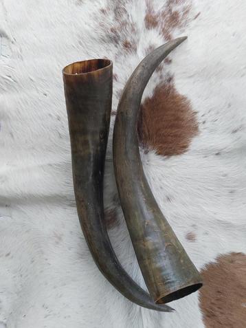 Paar decoratieve grote donkere hoorns (+ 40cm) beschikbaar voor biedingen