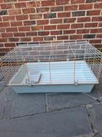 Cage pour rongeurs