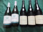 5 bouteilles vin blanc chablis 2x 2007-3x2003, Collections, Vins, Neuf, Enlèvement ou Envoi, Pleine, Vin blanc