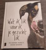 Wat ik lik voor ik je gezicht lik en andere haiku’s door hon, Boeken, Overige Boeken, Nieuw, Ophalen of Verzenden